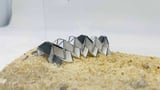 Paper-thin magnetic muscles bring origami robots to life for medical use