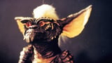 Gremlins 3 slammed as premiere date revealed... nearly four decades after the sequel