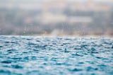 Rain raises $58m to scale enterprise stablecoin platform