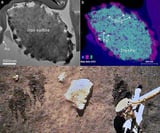 Unveiling charging and particle behavior of Chang'e-5 Lunar samples in electric field