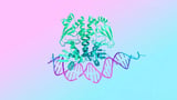 This new Google AI will help scientist understand human body and create new vaccines for diseases