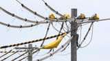 Free power for millions of Aussies