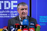 Iran’s nuclear chief not expected to attend IAEA General Conference, official says