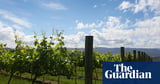 China scraps tariffs on Australian wine