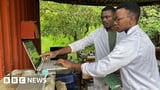 Bitcoin in the bush - crypto mining brings power to rural areas