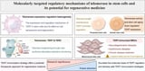 Telomerase Dynamics in Stem Cells: Unraveling the Molecular Nexus of Cellular Aging and Regeneration