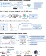 Lactate-related gene signatures predict prognosis and immune profiles in esophageal squamous cell carcinoma
