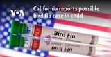 California reports possible bird flu case in child