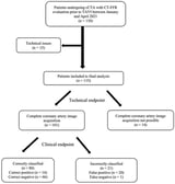 Combined Computed Coronary Tomography Angiography and Transcatheter Aortic Valve Implantation (TAVI) Planning Computed Tomography Reliably Detects Relevant Coronary Artery Disease Pre-TAVI