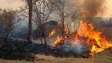 Wildfire Smoke Can Pose Risks Months Later