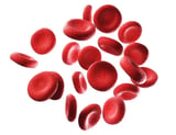 UC San Diego researchers win DARPA award to develop improved red blood cells