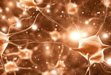 Researchers Discover Dozens of Genes Tied to OCD and Tic Disorders