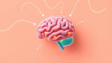 Why the Human Brain's 20-Watt Budget Could Reshape Energy-Hungry AI