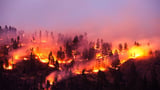 How Wildfire Smoke May Harm Brain Health