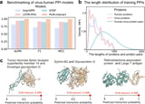 University of Glasgow Scientists Develop Advanced AI Model to Decode Protein Interactions Using