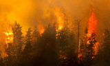 Rising wildfire threat in Atlantic Canada poses growing risk challenge for insurers