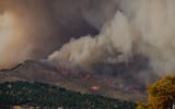 Wildfire Smoke Can Harm Heart and Lungs Even After the Fire Has Ended
