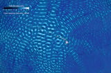 Satellite science: FSU research increases accuracy of high-resolution ocean surface measurements