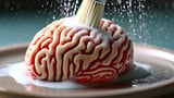 While You Were Sleeping, the Brain’s ‘Waste Disposal System’ Was at Work