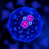 City of Hope and UC Berkeley Scientists Train AI to Detect Cancer Risk by