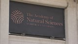 Academy of Natural Sciences museum to close after nearly 200 years