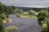 English rivers in 'desperate' state: report