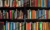 Anthropic Destroyed Millions Of Books To Train Its AI Models: Report