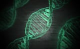 SC DNA Initiative Expands to Every County