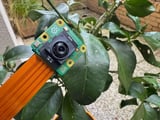 Raspberry Pi launches camera module for vision-based AI applications | TechCrunch