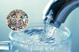 Scientists Discover a Simple Trick to Eliminate Microplastics From Tap Water