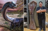 Scientists discover Southeast Asia's largest dinosaur in Thailand