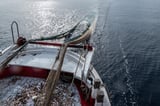 ‘We must stop bulldozing our seabeds’: call for restrictions on bottom trawling