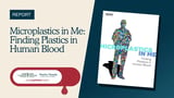 Microplastics in Me: Finding Plastics in Human Blood Report