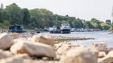 Germany news: Some shipping stops as Rhine hits new lows