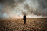 Climate change despair has never been higher — but experts say hope is still possible