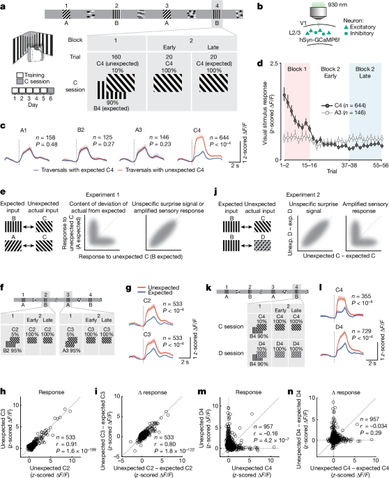 Cooperative thalamocortical circuit mechanism for sensory prediction errors