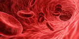 Blocking a surprising master regulator of immunity eradicates liver tumors in mice