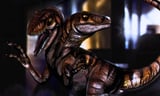 20 Years Later, , the World’s Oldest "Two-Headed " Dinosaur Was Discovered—And It Still Defies Logic