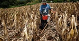 El Nino sets temperature record in key Pacific zone: EU monitor