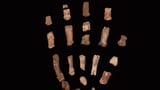 First known hand fossils of extinct human relative reveal ‘surprising’ features