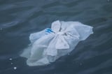 Ocean floor a 'reservoir' of plastic pollution, study finds