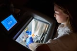Clemson researchers will use AI to explore how plant cells respond to stress