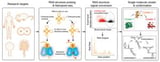 A*STAR scientists develop new method to reveal how RNA structure influences health and disease