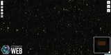 The Cosmic Web Like You've Never Seen it Before