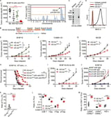 New genetic mutation found to suppress cancer growth