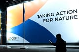 Nations accused of undermining science at UN nature talks