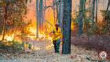 14-year-old boy arrested for allegedly starting New Jersey forest fire