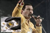 Britain's Royal Mint honors Freddie Mercury with new coin honoring his incredible musical achievements
