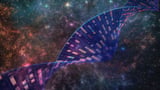 If we want to settle on other planets, we&rsquo;ll have to use genome editing to alter human DNA