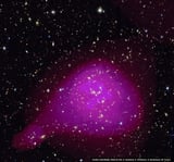 JWST Completes a Huge Survey of the Earliest Galaxies